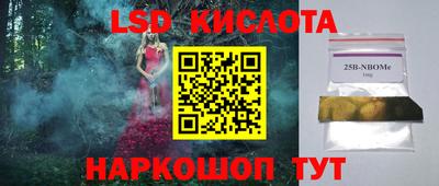 шишки Заволжье
