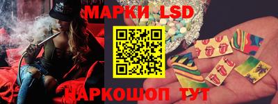 шишки Заволжье