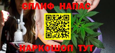 шишки Заволжье