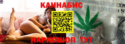 шишки Заволжье
