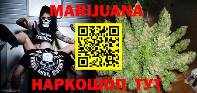 шишки Заволжье