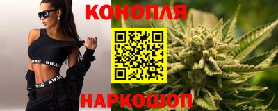шишки Заволжье