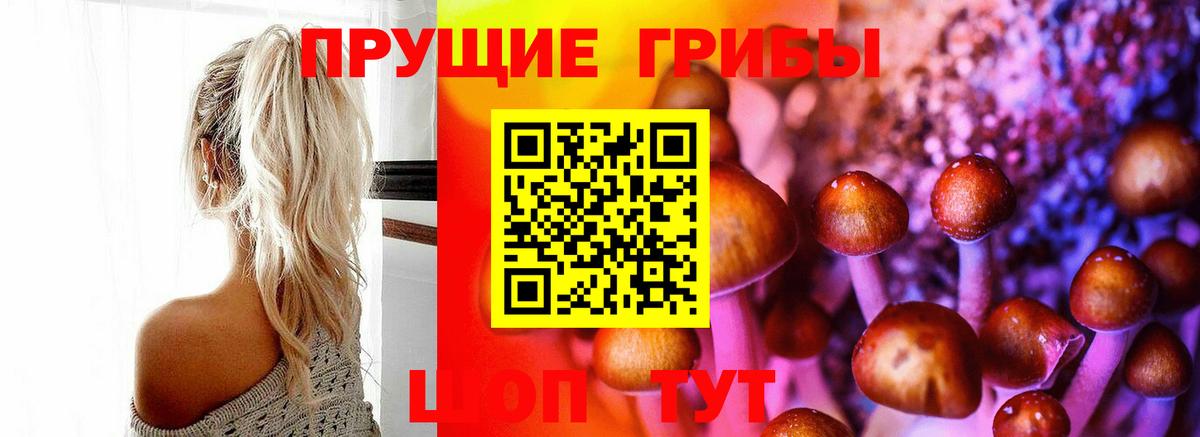 Буйнакск  Псилоцибиновые грибы мухоморы  Вход с VPN 