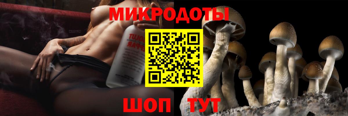 Галлюциногенные грибы Cubensis Буйнакск